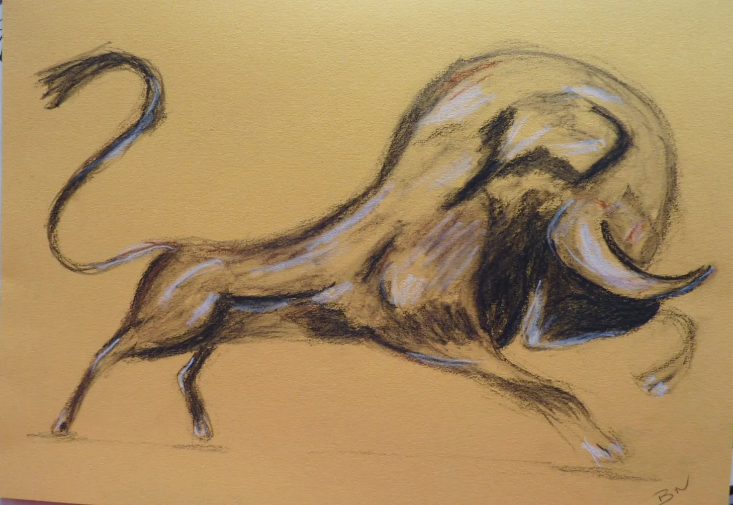 Corne d'aurochs, dessin de Béhenne