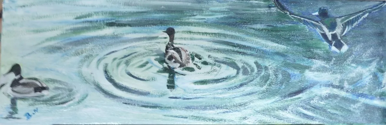 Canards sur le canal de la Somme en Avril, huile de Béhenne