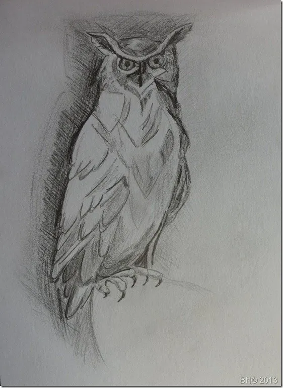Chouette, un hibou, dessin de Béhenne