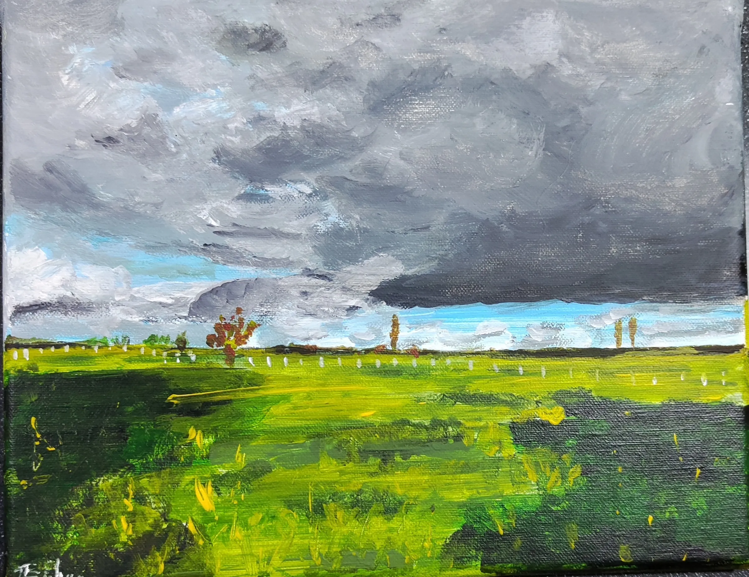 Ciel d'orage sur la campagne., acrylique de Béhenne