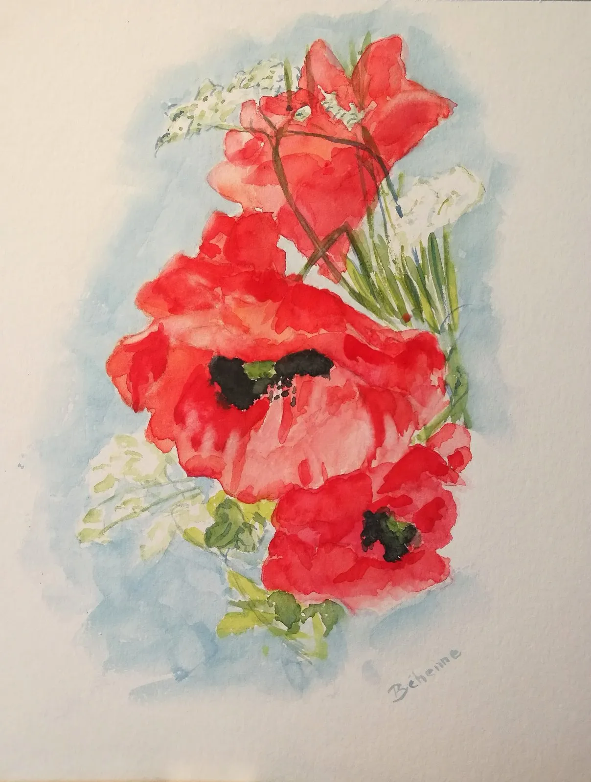 Coquelicots 3, aquarelle de Béhenne