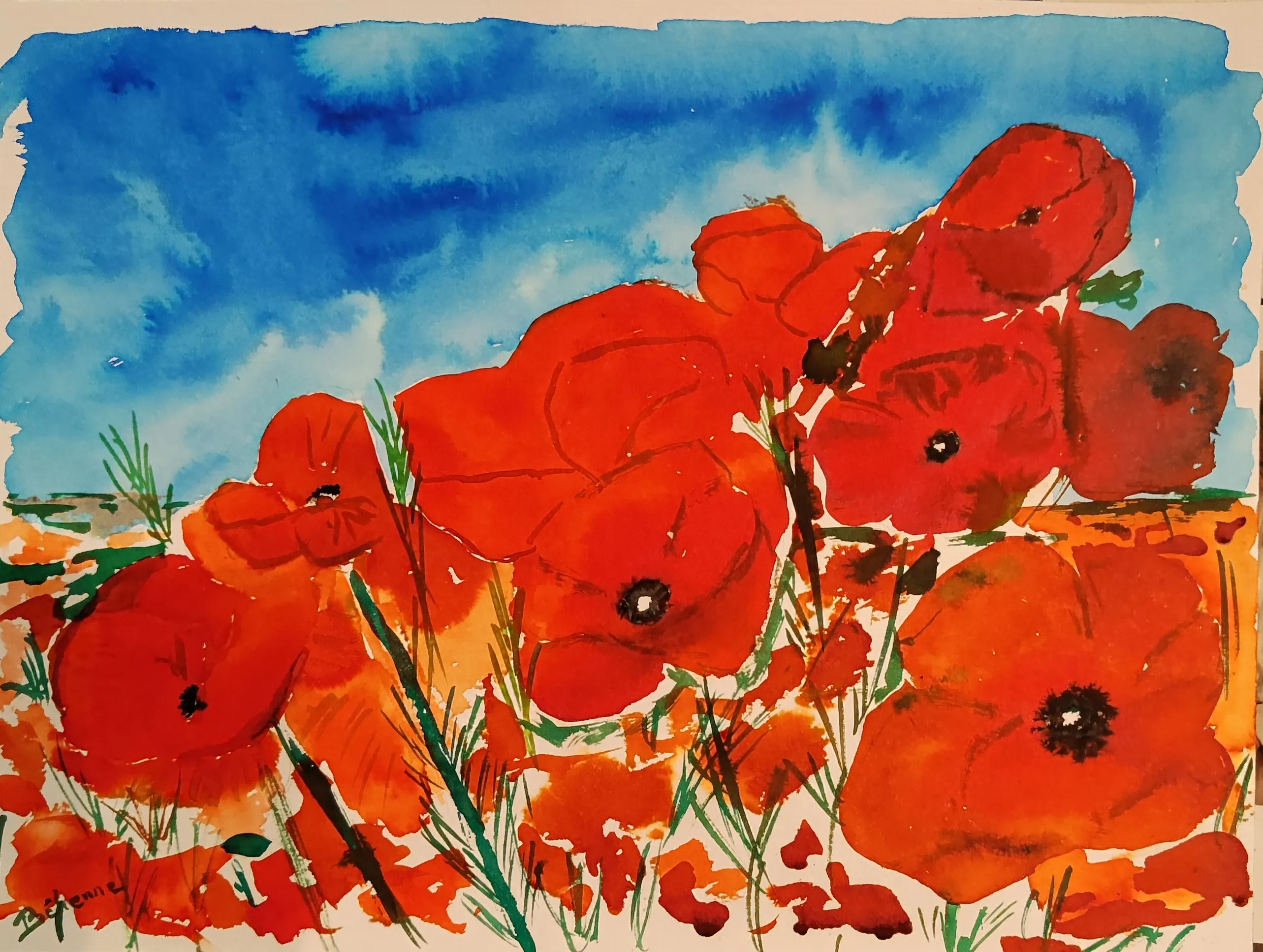 Coquelicots à l'encre, encre de Béhenne