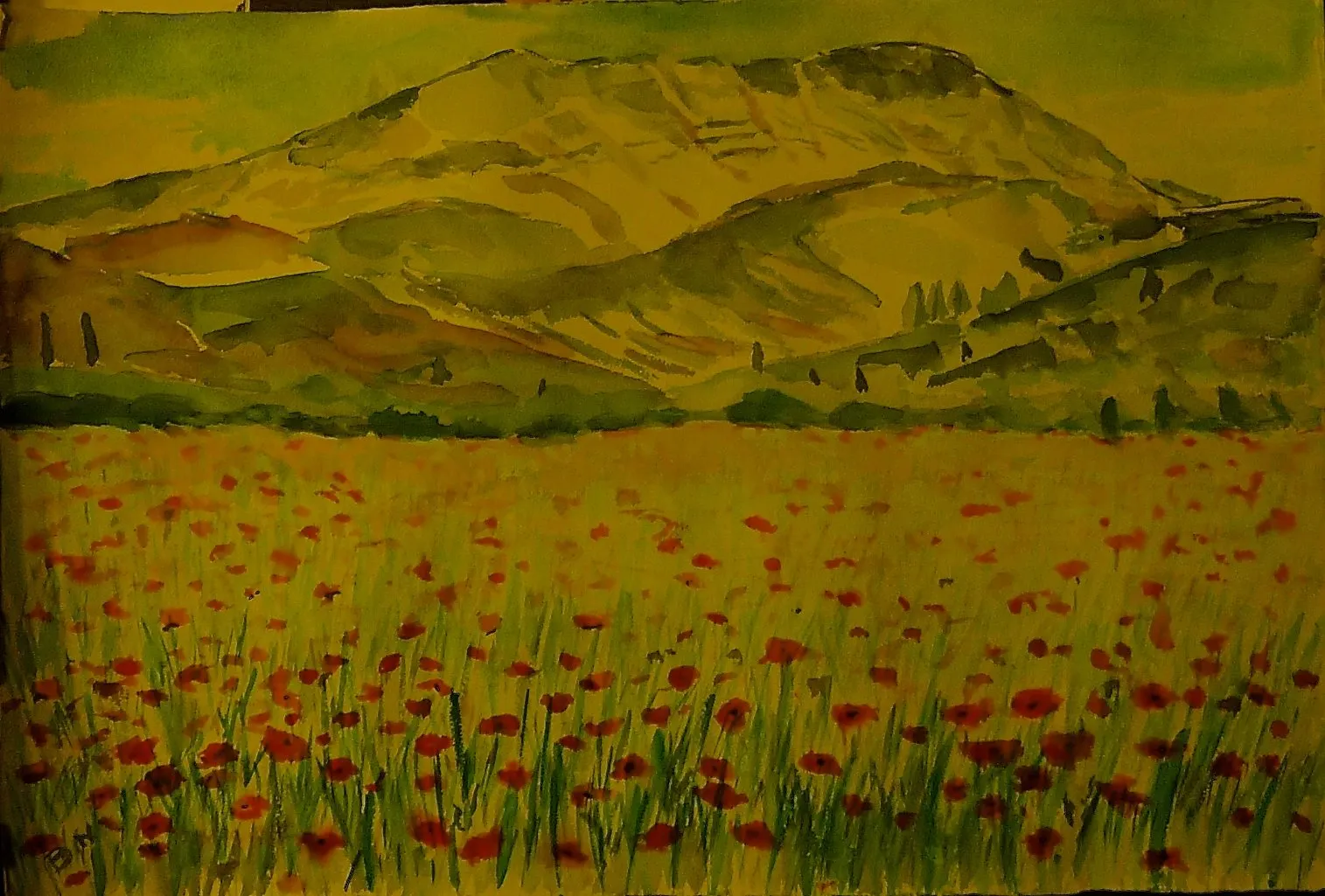 Coquelicots devant la Ste Victoire, aquarelle de Béhenne