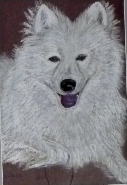 Farouk, pastel de Béhenne