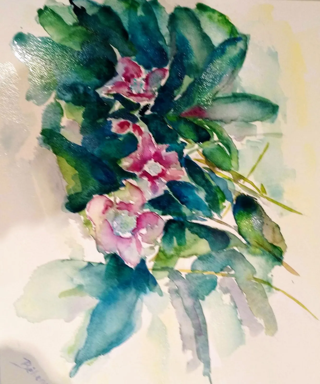 Héllébores, aquarelle de Béhenne