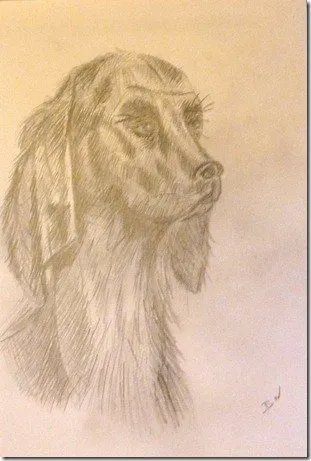 Le chien, dessin de Béhenne
