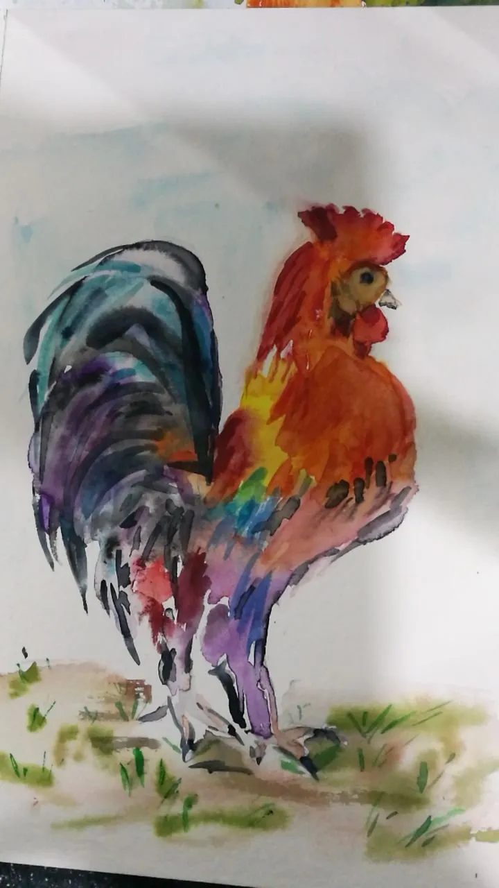 Le coq, aquarelle de Béhenne
