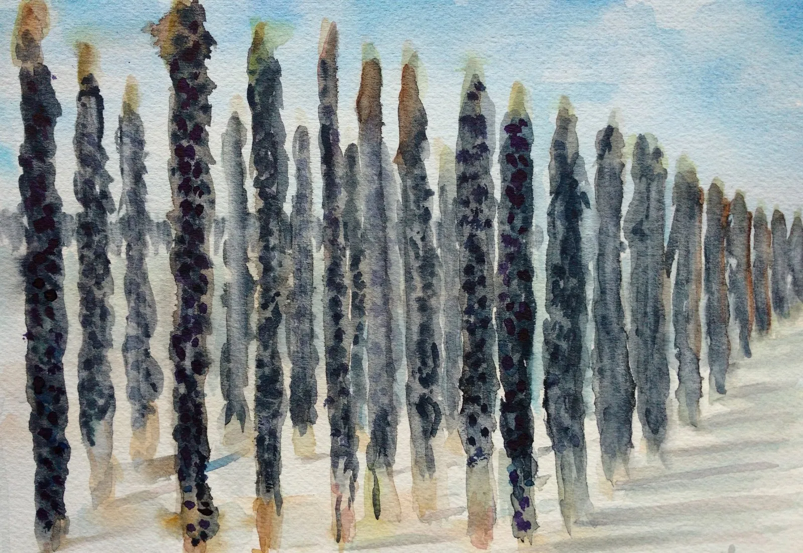 Les moules de bouchot, aquarelle de Béhenne