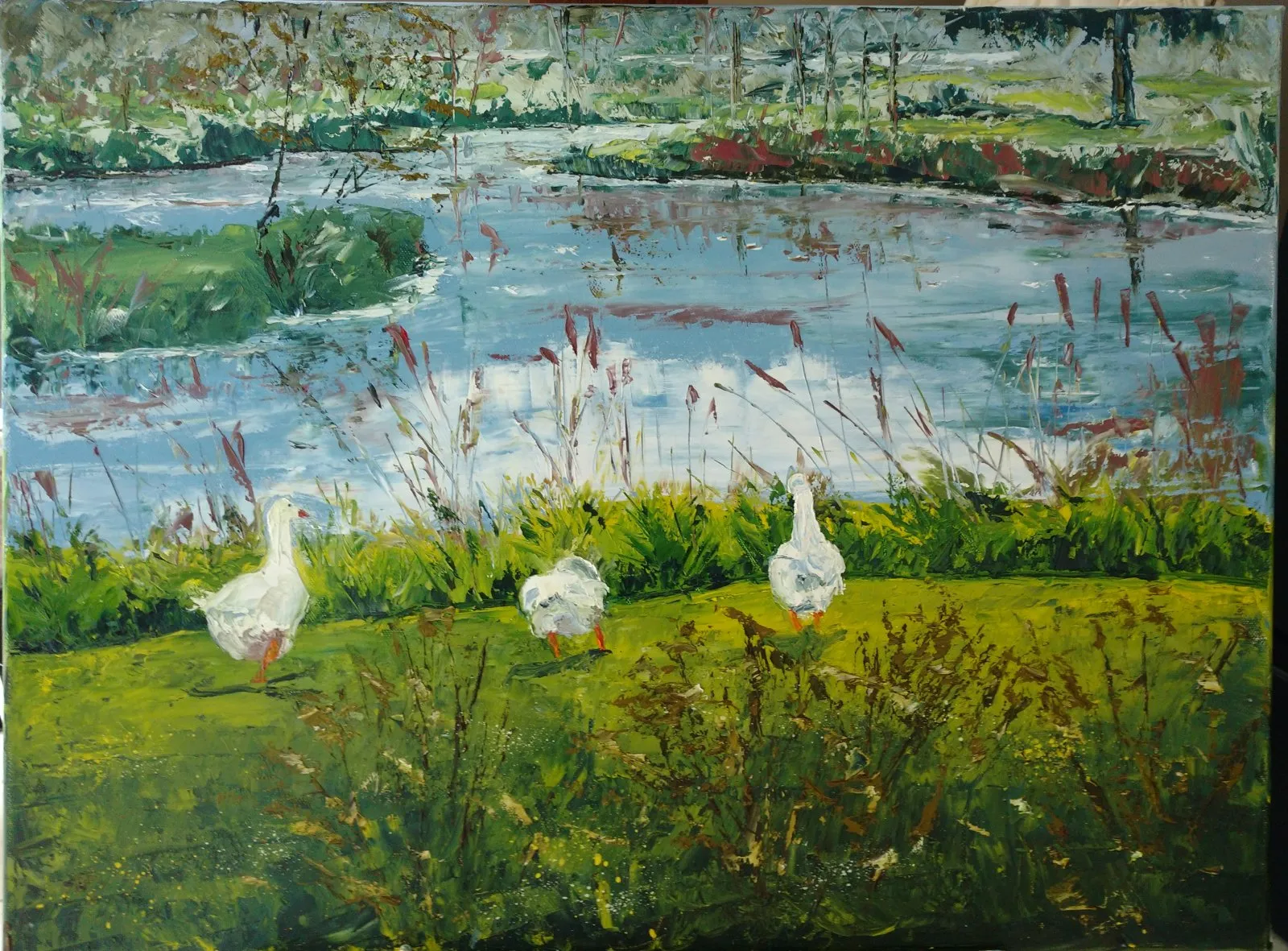 Les oies de la somme, huile de Béhenne