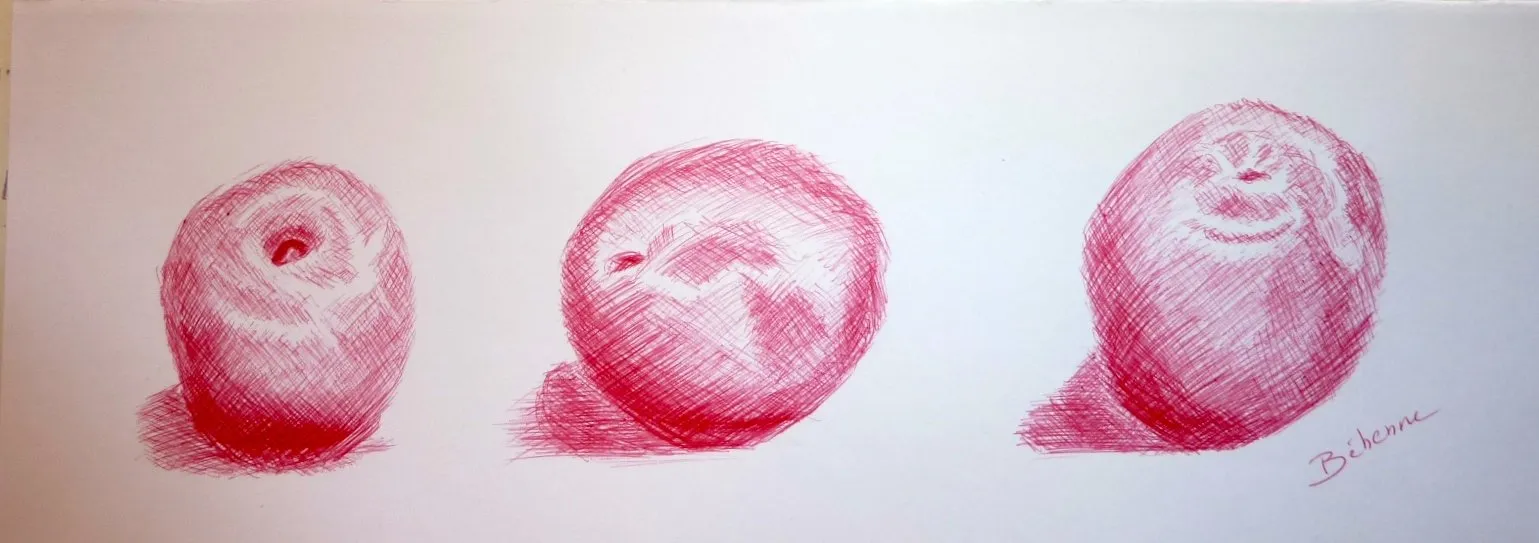 Les pommes, encre de Béhenne