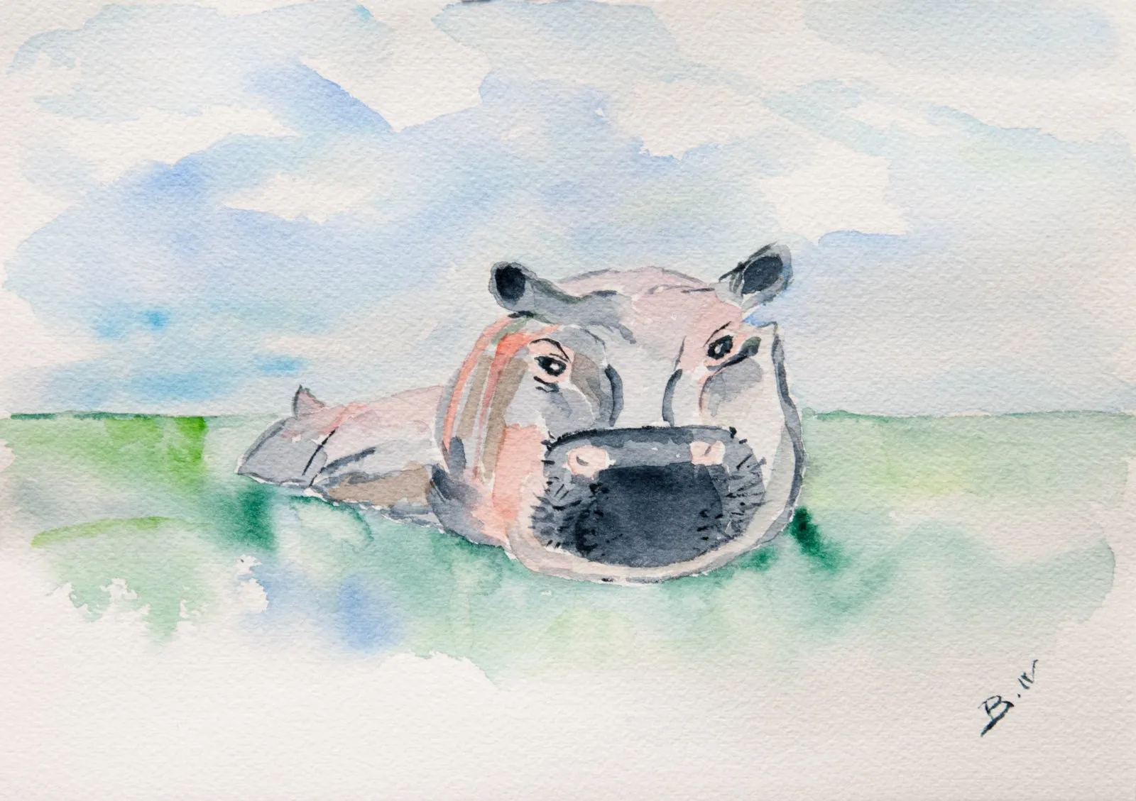 L'hippopotame du zoo, aquarelle de Béhenne