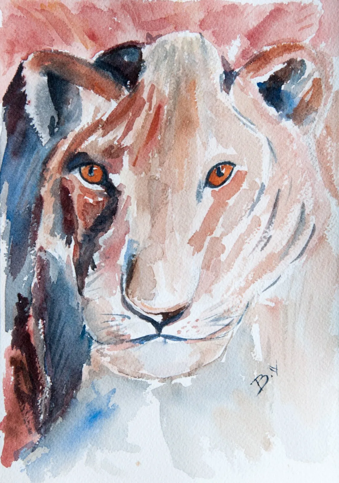 Lion, aquarelle de Béhenne