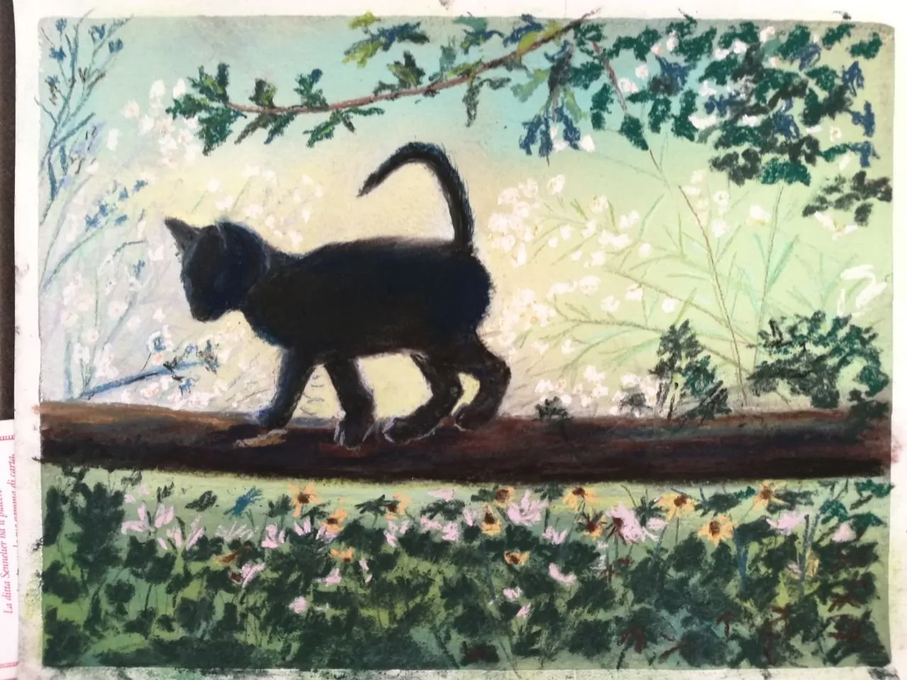 Pastel du petit chat, pastel de Béhenne