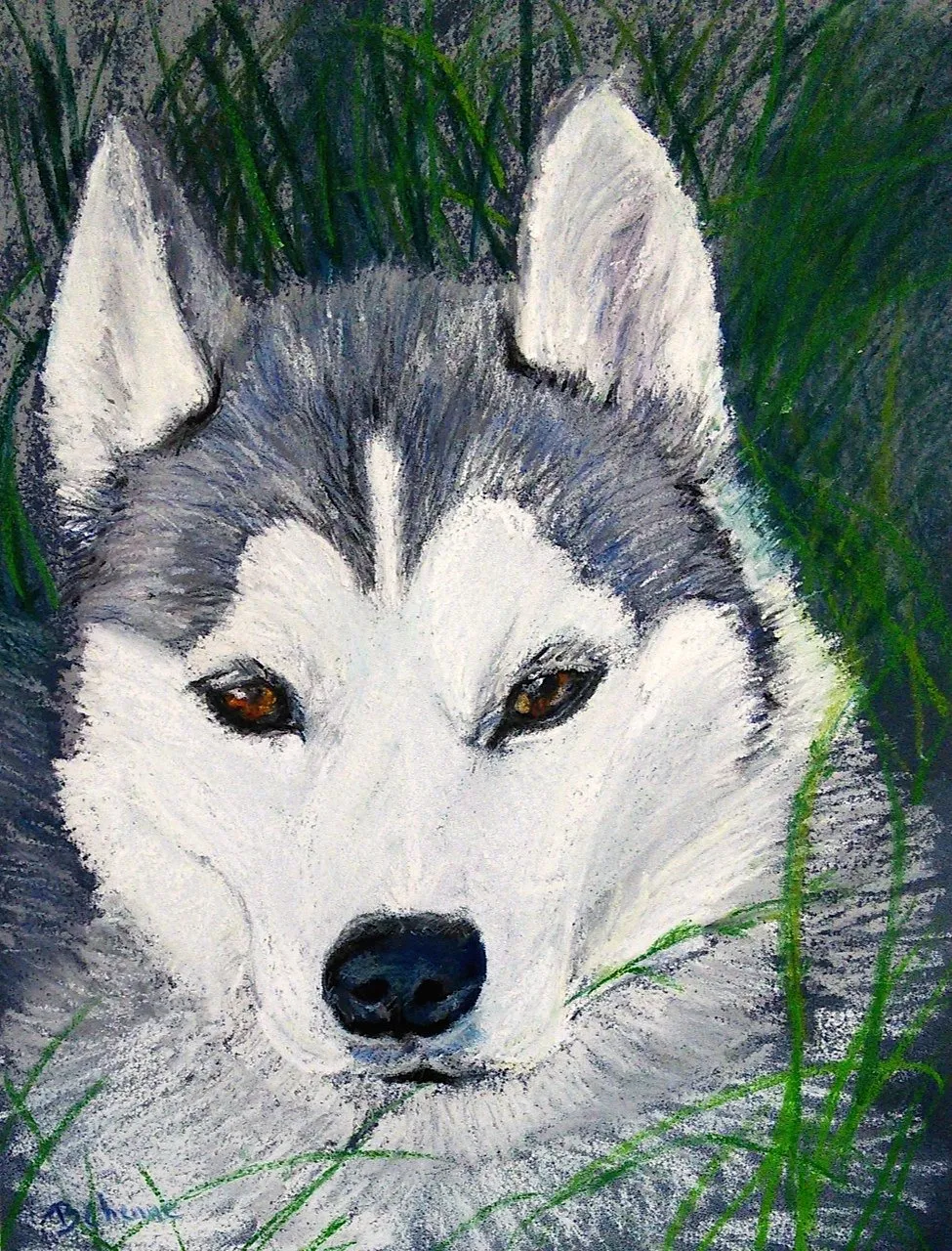 Une jolie louloute, pastel de Béhenne
